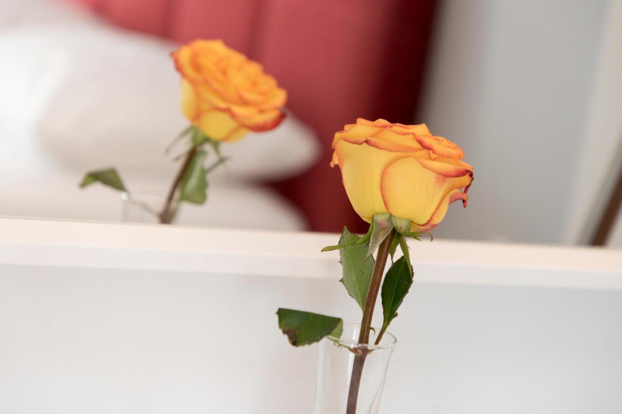 Brand New In The Heart Of The Athen